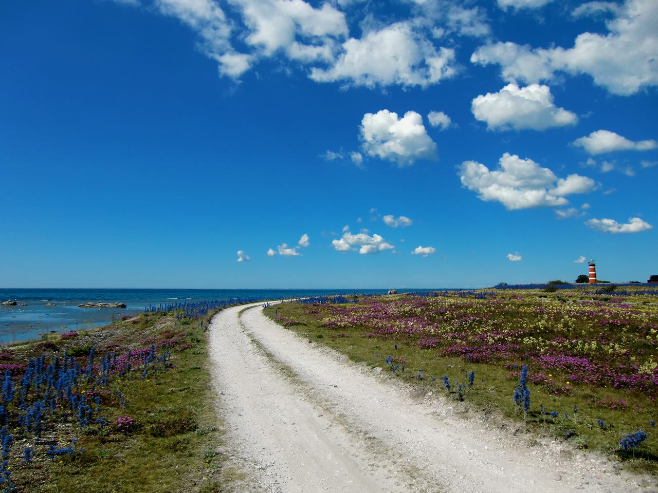 De weg naar de vuurtoren